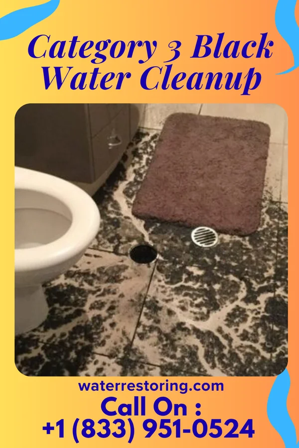 Category 3 Black Water Cleanup in Gratz, KY