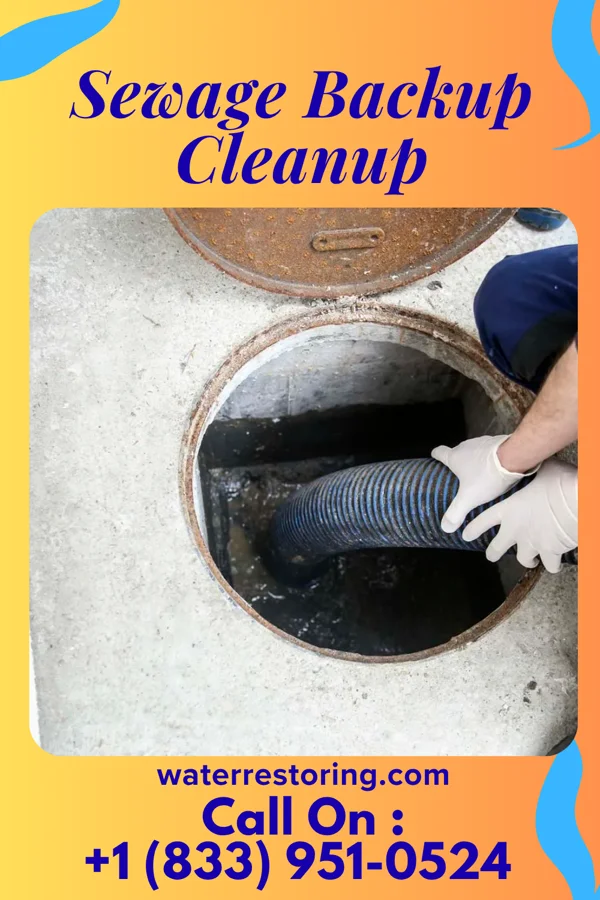 Sewage Backup Cleanup in Gratz, KY